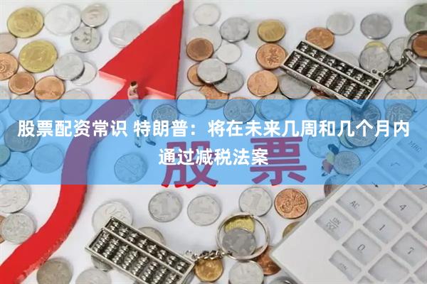 股票配资常识 特朗普：将在未来几周和几个月内通过减税法案